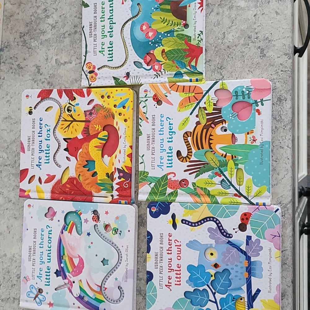 Usborne book set